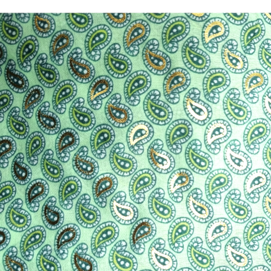 Weicher Frühjahrs Schal mit Muster grün 'paisleys matter'