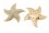 Magnetbrosche Seestern mit Strass  'rosè - starfish'